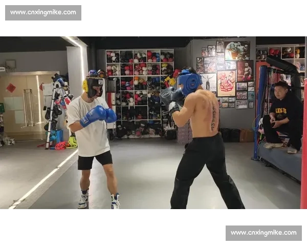 搏击vs拳击全面对比解析技术规则训练与实战差异发展历史观赛体验 搏击vs拳击全面对比解析技术规则训练与实战差异发展历史观赛体验